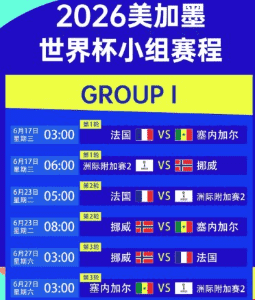 球迷狂欢庆祝